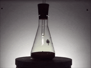 h12-1512531744483.gif.png