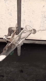 h14-1512498077504.gif.png