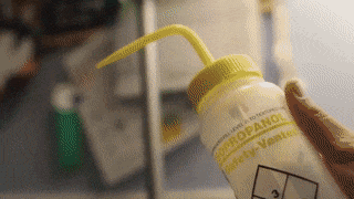h22-1512496558173.gif.png