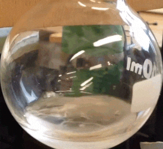 h7-1512496344359.gif.png