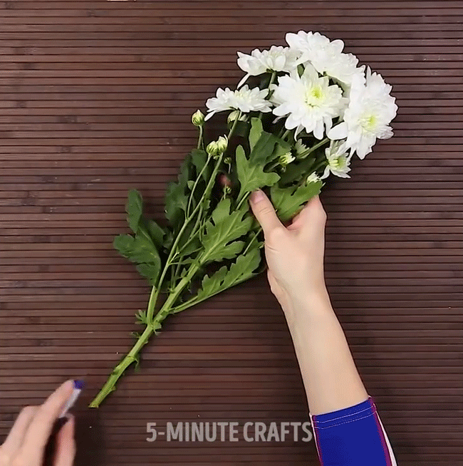 Mẹo hay giúp tạo màu như ý muốn cho cành hoa thêm lạ xinh - Ảnh 3. Mẹo hay giúp tạo màu như ý muốn cho cành hoa thêm lạ xinh - Ảnh 3.