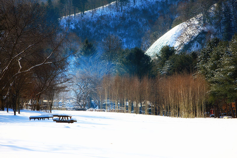 Mở màn Năm Gà, nhận vé K Drama Festa miễn phí - Ảnh 5. Mở màn Năm Gà, nhận vé K Drama Festa miễn phí - Ảnh 5.