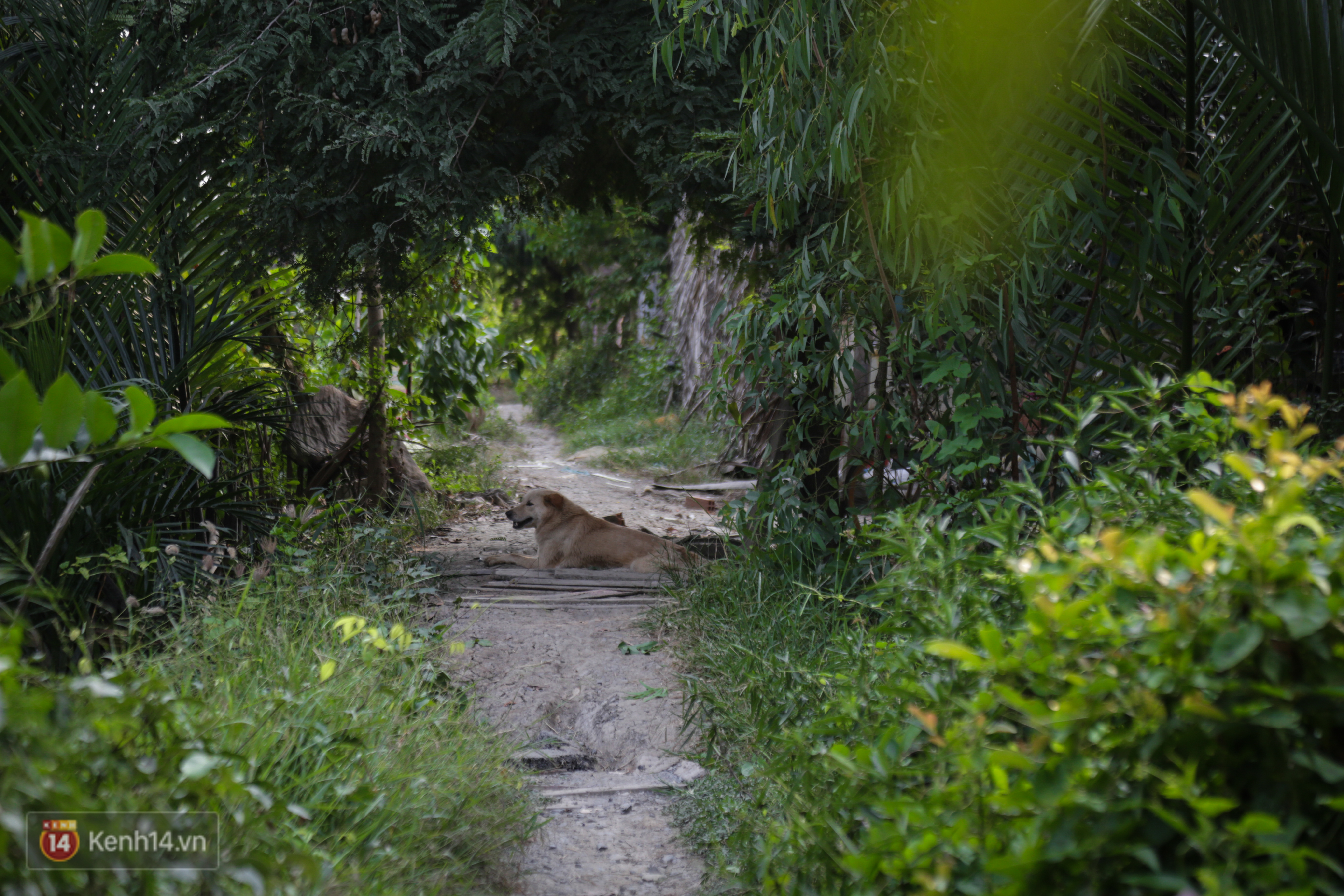 Những đứa trẻ sống trên “ốc đảo” ở Sài Gòn và mơ ước một lần được cùng ba mẹ ra phố đón Tết - Ảnh 7. Những đứa trẻ sống trên “ốc đảo” ở Sài Gòn và mơ ước một lần được cùng ba mẹ ra phố đón Tết - Ảnh 7.