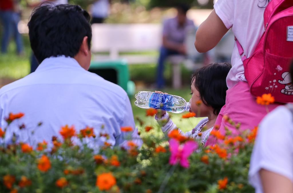 Hàng nghìn người đổ về Thảo Cầm Viên Sài Gòn dựng lều, mắc võng trốn nắng gắt trong ngày lễ 2/9 - Ảnh 6. Hàng nghìn người đổ về Thảo Cầm Viên Sài Gòn dựng lều, mắc võng trốn nắng gắt trong ngày lễ 2/9 - Ảnh 6.