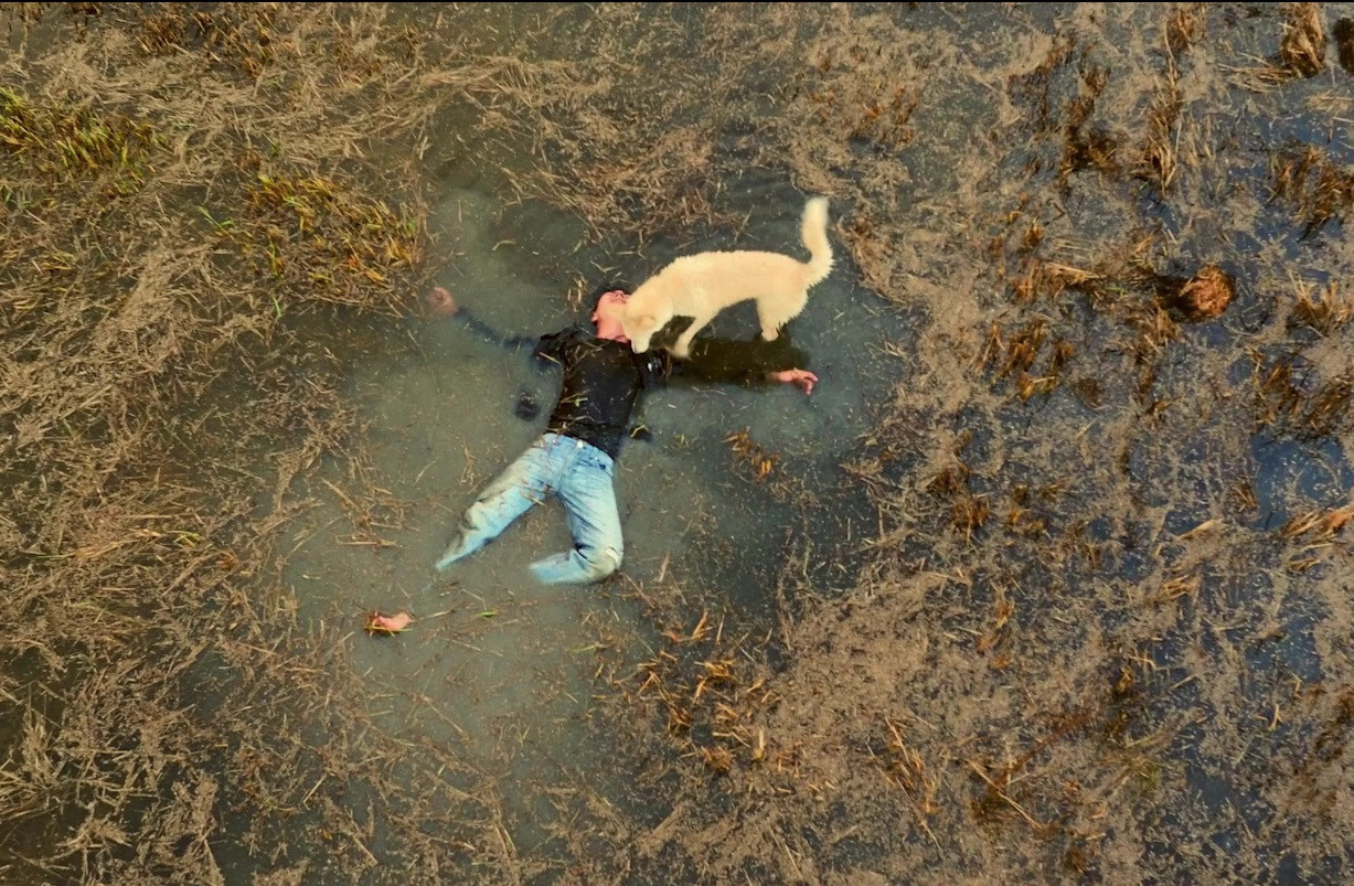 Kẻ trộm chó: Có ý tứ, có chút cảm động, nhưng vẫn còn vụng về - Ảnh 1. Kẻ trộm chó: Có ý tứ, có chút cảm động, nhưng vẫn còn vụng về - Ảnh 1.