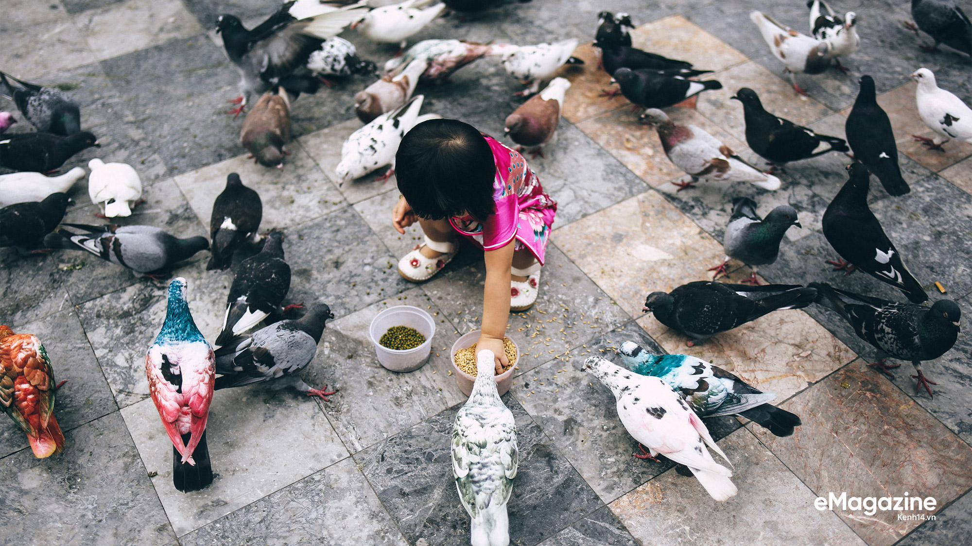 Những người Sài Gòn khùng nuôi chim trời thú hoang - Ảnh 22.