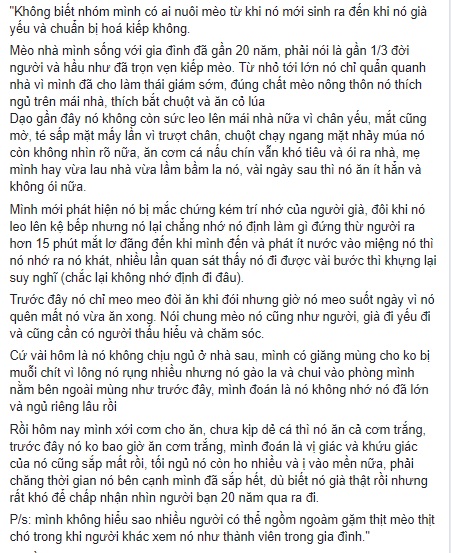 Câu chuyện về chú mèo sống cùng gia đình 20 năm ngày càng già yếu khiến cư dân mạng cảm động - Ảnh 1. Câu chuyện về chú mèo sống cùng gia đình 20 năm ngày càng già yếu khiến cư dân mạng cảm động - Ảnh 1.