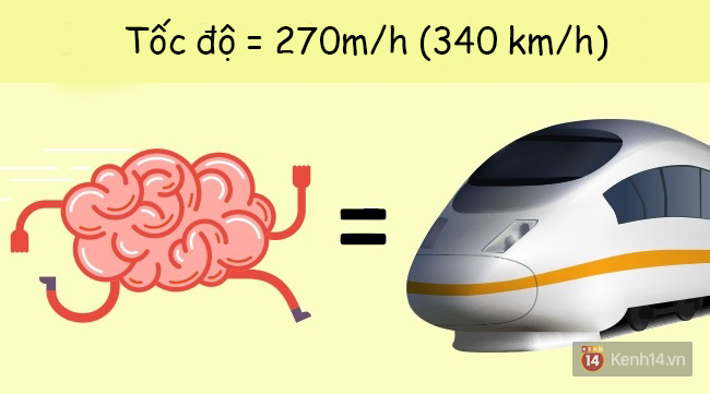 6 sự thật cực sốc về cơ thể người đảm bảo bạn chưa hề hay biết - Ảnh 3. 6 sự thật cực sốc về cơ thể người đảm bảo bạn chưa hề hay biết - Ảnh 3.