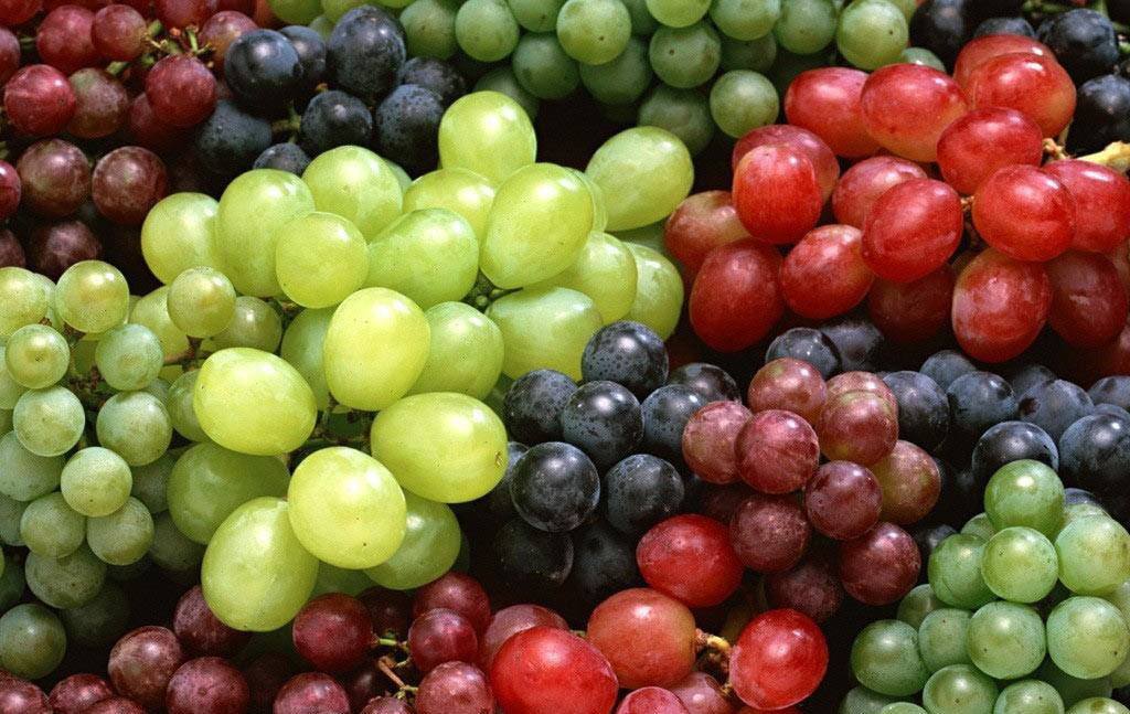 Con gái hay bị rối loạn kinh nguyệt thì nên bổ sung ngay những thực phẩm sau - Ảnh 7. Con gái hay bị rối loạn kinh nguyệt thì nên bổ sung ngay những thực phẩm sau - Ảnh 7.