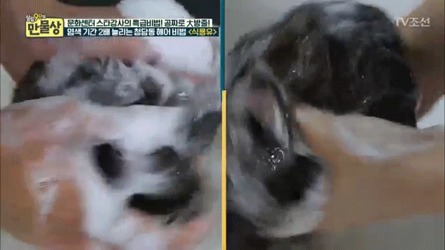 Mẹo vặt từ bếp: Dùng dầu ăn khi nhuộm tóc, màu lên đẹp và bền hơn gấp mấy lần - Ảnh 5. Mẹo vặt từ bếp: Dùng dầu ăn khi nhuộm tóc, màu lên đẹp và bền hơn gấp mấy lần - Ảnh 5.