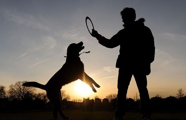 Cặp đôi chia tay vì cô gái lỡ làm chết cún cưng của người yêu - Ảnh 3. Cặp đôi chia tay vì cô gái lỡ làm chết cún cưng của người yêu - Ảnh 3.