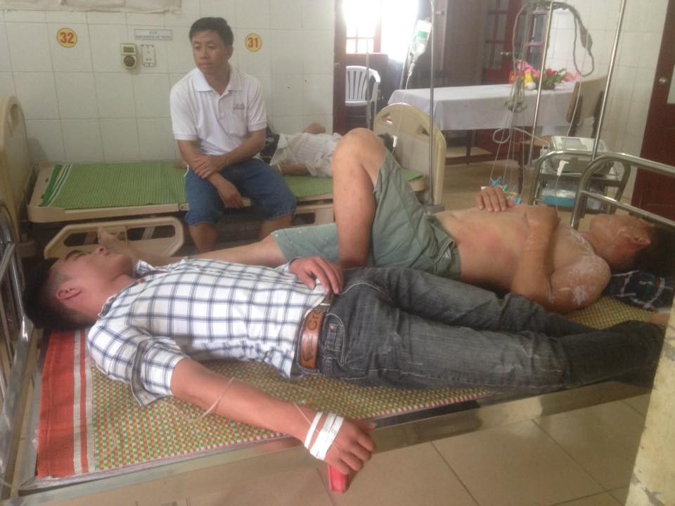 Nhiều học sinh THPT ở Nghệ An nhập viện vì hàng nghìn con ong tấn công trên đường đến trường - Ảnh 1. Nhiều học sinh THPT ở Nghệ An nhập viện vì hàng nghìn con ong tấn công trên đường đến trường - Ảnh 1.