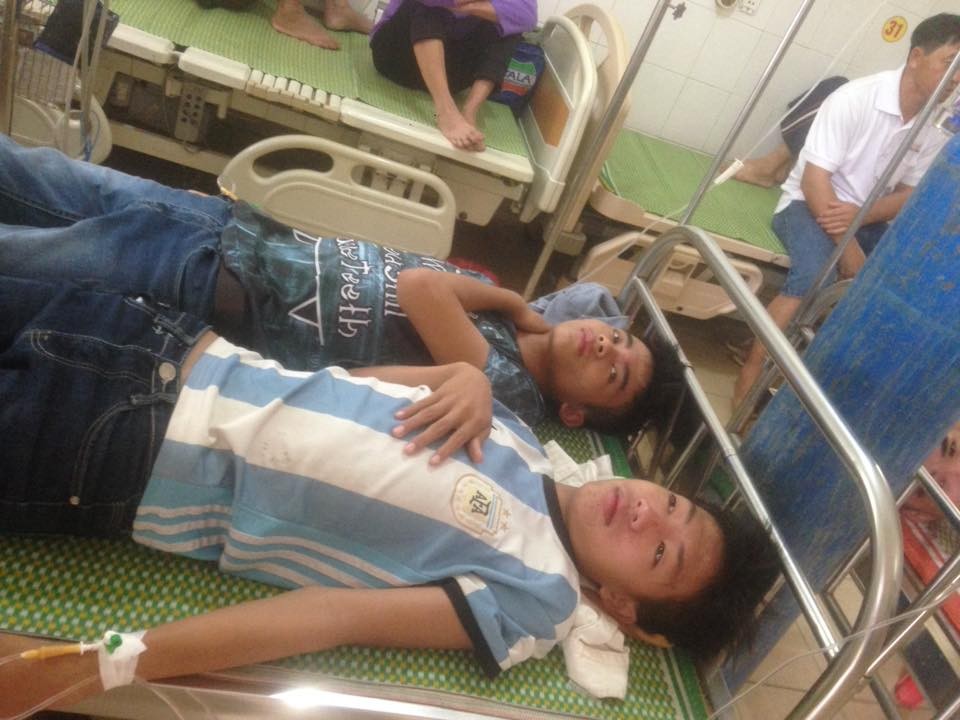 Nhiều học sinh THPT ở Nghệ An nhập viện vì hàng nghìn con ong tấn công trên đường đến trường - Ảnh 2. Nhiều học sinh THPT ở Nghệ An nhập viện vì hàng nghìn con ong tấn công trên đường đến trường - Ảnh 2.