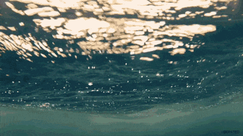 14 khoảnh khắc sóng nước khiến bạn chỉ muốn ra biển luôn và ngay - Ảnh 1.