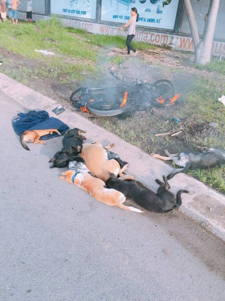 Hai đối tượng trộm chó bị người dân đánh bất tỉnh, đốt cháy xe máy - Ảnh 2. Hai đối tượng trộm chó bị người dân đánh bất tỉnh, đốt cháy xe máy - Ảnh 2.