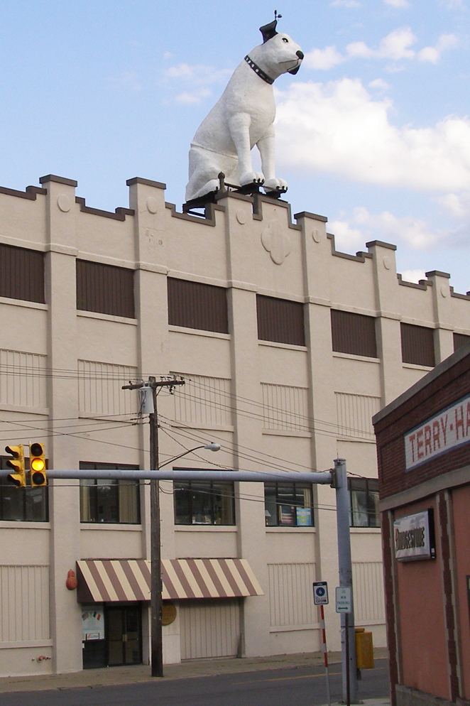 Bức tượng chú chó Nipper lớn nhất thế giới ở New York có gì đặc biệt? - Ảnh 1. Bức tượng chú chó Nipper lớn nhất thế giới ở New York có gì đặc biệt? - Ảnh 1.