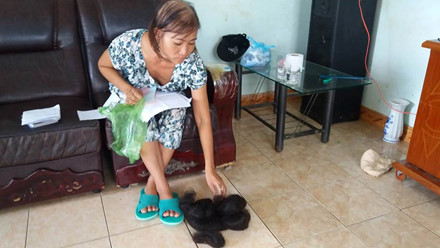 Tranh chấp đất đai, đổ nước chứa thuốc diệt cỏ vào miệng một phụ nữ - Ảnh 2. Tranh chấp đất đai, đổ nước chứa thuốc diệt cỏ vào miệng một phụ nữ - Ảnh 2.