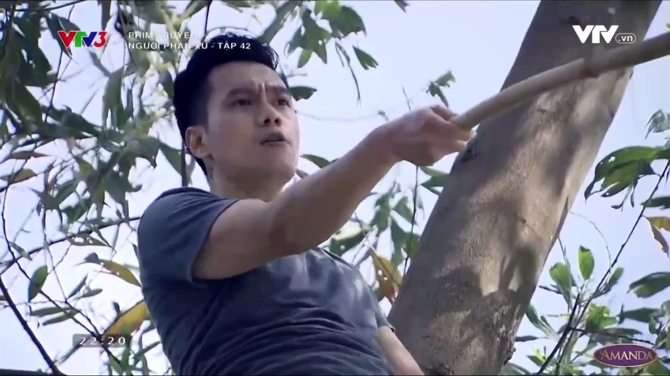 Hết Người phán xử, khán giả học được những điều gì? - Ảnh 2. Hết Người phán xử, khán giả học được những điều gì? - Ảnh 2.