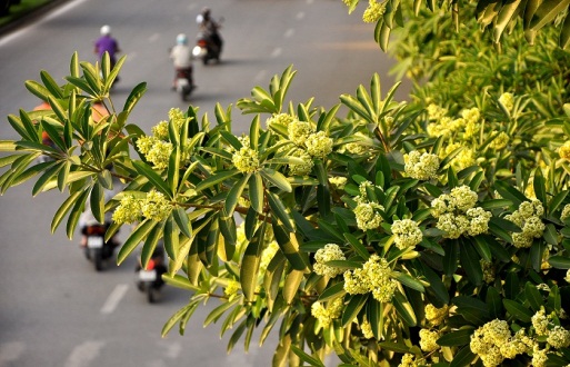 Không khí lạnh hoạt động mạnh dần trong tháng 9 - Ảnh 2. Không khí lạnh hoạt động mạnh dần trong tháng 9 - Ảnh 2.