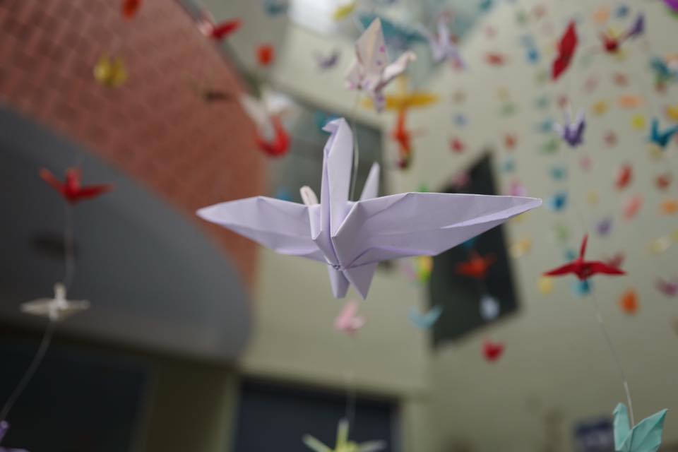 Khoảnh khắc bình dị của thầy Văn Như Cương qua những bức ảnh của cô giáo Văn Thùy Dương - Ảnh 13. Khoảnh khắc bình dị của thầy Văn Như Cương qua những bức ảnh của cô giáo Văn Thùy Dương - Ảnh 13.