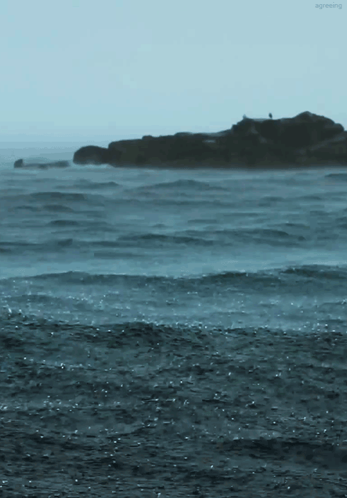 14 khoảnh khắc sóng nước khiến bạn chỉ muốn ra biển luôn và ngay - Ảnh 17.