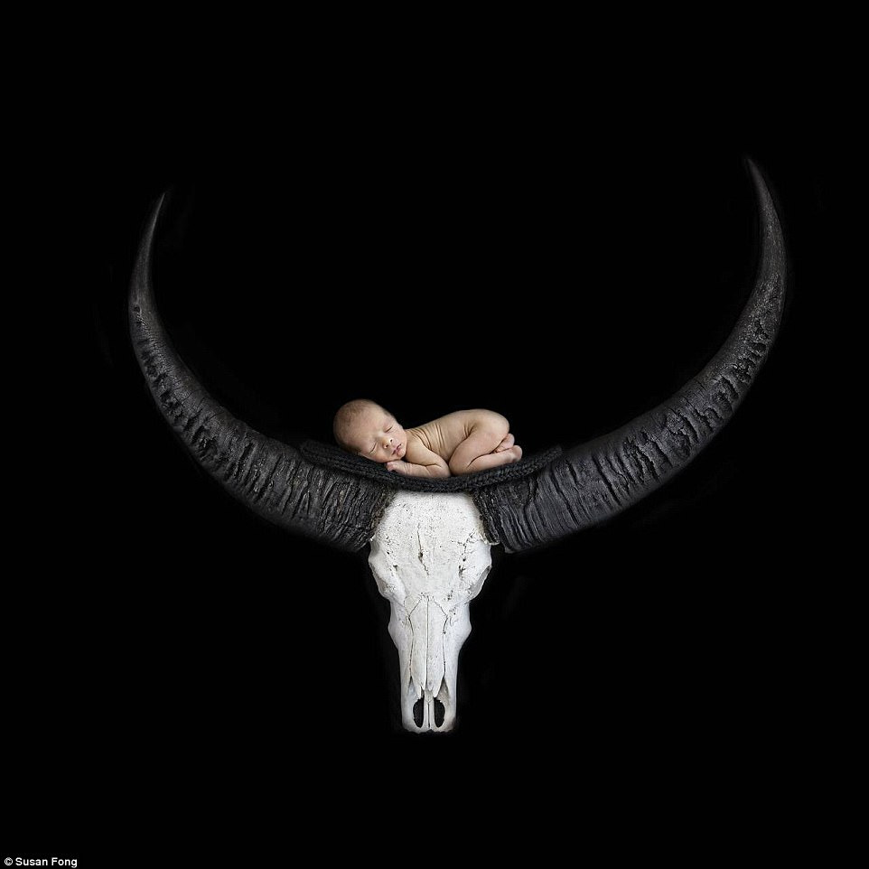 Nếu bạn đang tìm kiếm những ý tưởng chụp hình cho bé yêu của mình thì đây chính là bộ ảnh bạn cần xem - Ảnh 11. Nếu bạn đang tìm kiếm những ý tưởng chụp hình cho bé yêu của mình thì đây chính là bộ ảnh bạn cần xem - Ảnh 11.