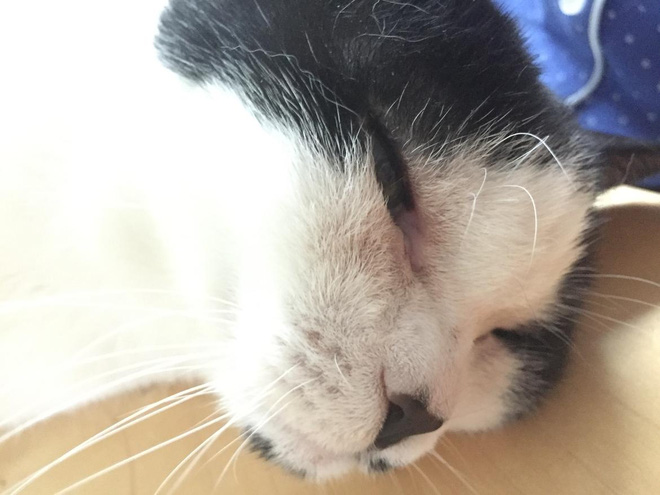 Đây là top các loại mật khẩu người ta hay sử dụng, có những cái rất thông minh nhưng không thiếu cái kỳ cục - Ảnh 16. Đây là top các loại mật khẩu người ta hay sử dụng, có những cái rất thông minh nhưng không thiếu cái kỳ cục - Ảnh 16.