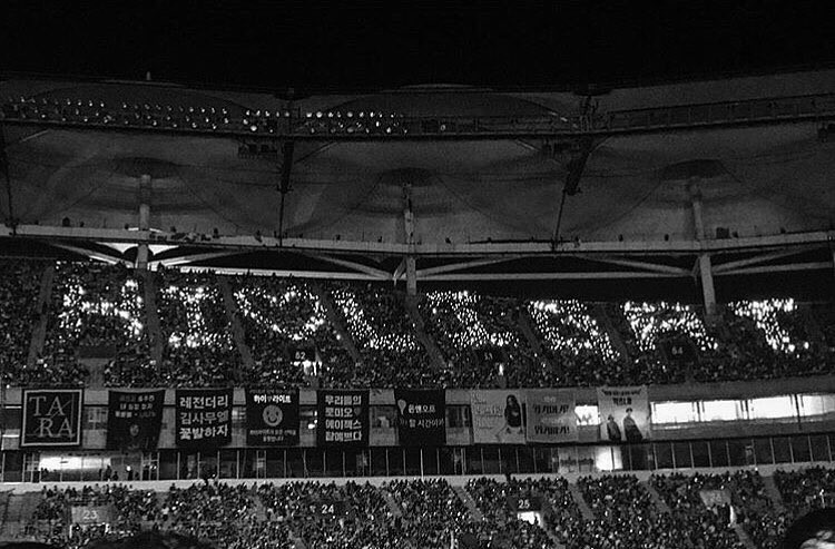 Fan hát theo át cả tiếng ca sĩ, lâu lắm rồi mới thấy T-ara được fan Hàn yêu thương như vậy - Ảnh 4. Fan hát theo át cả tiếng ca sĩ, lâu lắm rồi mới thấy T-ara được fan Hàn yêu thương như vậy - Ảnh 4.