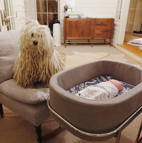 Làm bố như Mark Zuckerberg: Con chỉ việc tận hưởng tuổi thơ, bão tố ngoài kia đã có bố lo rồi - Ảnh 6. Làm bố như Mark Zuckerberg: Con chỉ việc tận hưởng tuổi thơ, bão tố ngoài kia đã có bố lo rồi - Ảnh 6.