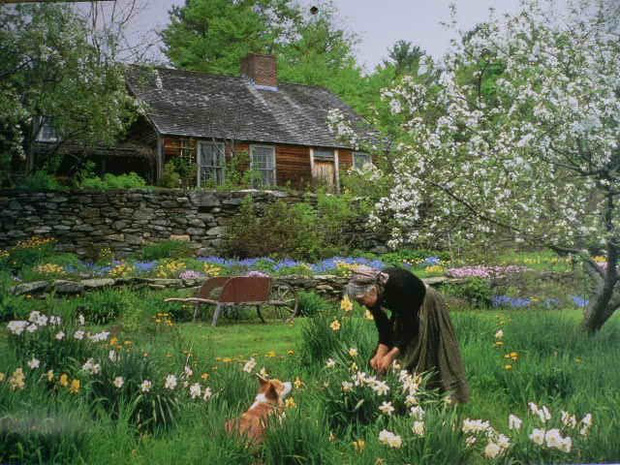 Cư dân mạng ao ước được một lần sống trong căn nhà như trong truyện cổ tích của bà cụ 92 tuổi - Ảnh 2. Cư dân mạng ao ước được một lần sống trong căn nhà như trong truyện cổ tích của bà cụ 92 tuổi - Ảnh 2.