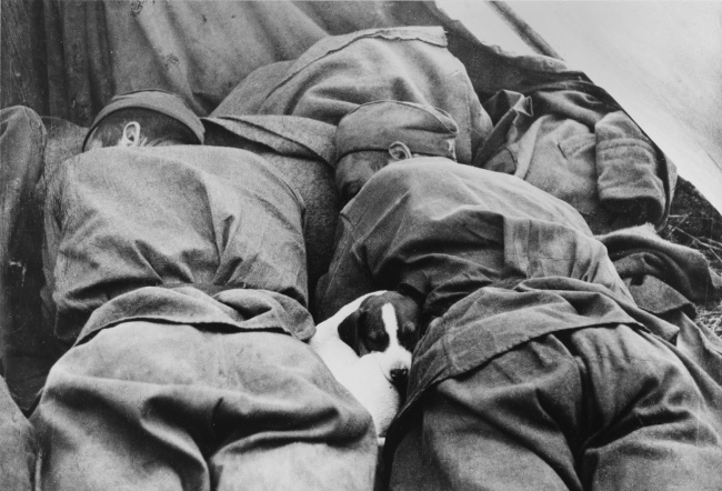 13 bức ảnh ghi lại những khoảnh khắc đắt giá, những cuộc gặp gỡ trong đời - Ảnh 8. 13 bức ảnh ghi lại những khoảnh khắc đắt giá, những cuộc gặp gỡ trong đời - Ảnh 8.