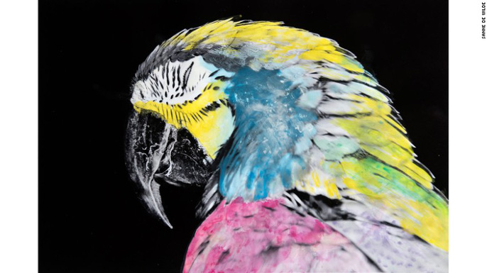 Ám ảnh đảo mù màu - Ảnh 9. Ám ảnh đảo mù màu - Ảnh 9.