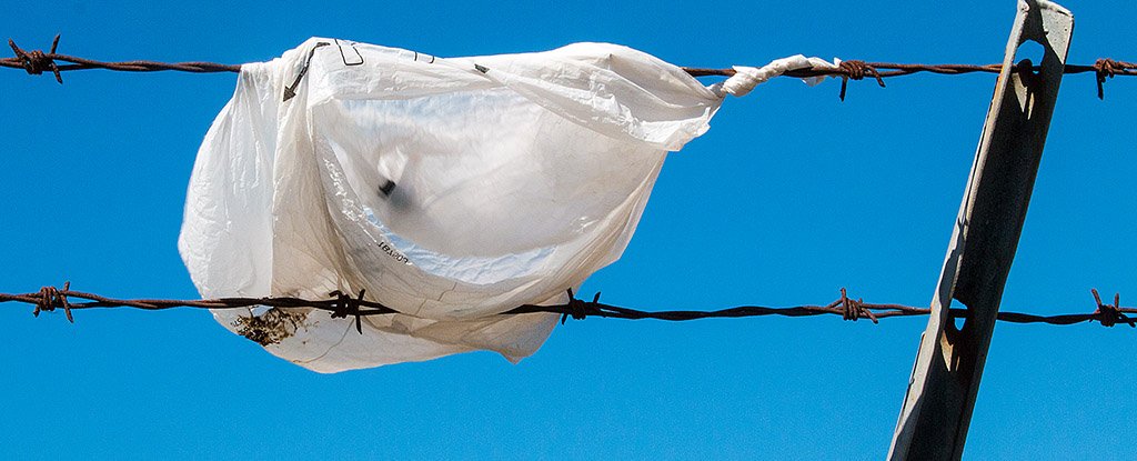 Quốc gia này tẩy chay túi nylon đến nỗi sẵn sàng phạt tù bất kỳ ai sử dụng nó - Ảnh 2. Quốc gia này tẩy chay túi nylon đến nỗi sẵn sàng phạt tù bất kỳ ai sử dụng nó - Ảnh 2.