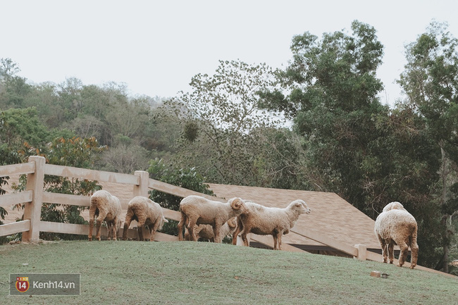 Du lịch châu Âu ở... Thái Lan, nghe kỳ kỳ mà hợp lý vô cùng - Ảnh 12.