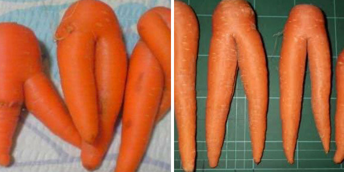 Không thể ngừng cười với chiếc đùi gà chiên vàng - Ảnh 8. Không thể ngừng cười với chiếc đùi gà chiên vàng - Ảnh 8.