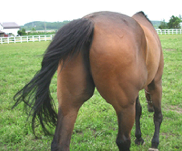 Không thể ngừng cười với chiếc đùi gà chiên vàng - Ảnh 7. Không thể ngừng cười với chiếc đùi gà chiên vàng - Ảnh 7.