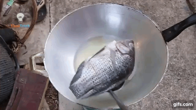 Rán cá không còn sợ dầu bắn vào tay chỉ với 1 mẹo cực thú vị này - Ảnh 1. Rán cá không còn sợ dầu bắn vào tay chỉ với 1 mẹo cực thú vị này - Ảnh 1.