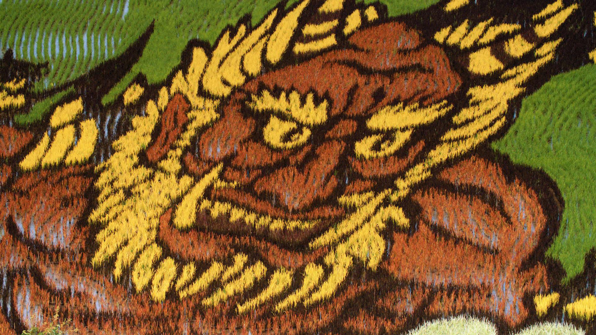Ngắm triển lãm tranh nghệ thuật trên ruộng lúa tại Nhật Bản - Ảnh 2. Ngắm triển lãm tranh nghệ thuật trên ruộng lúa tại Nhật Bản - Ảnh 2.
