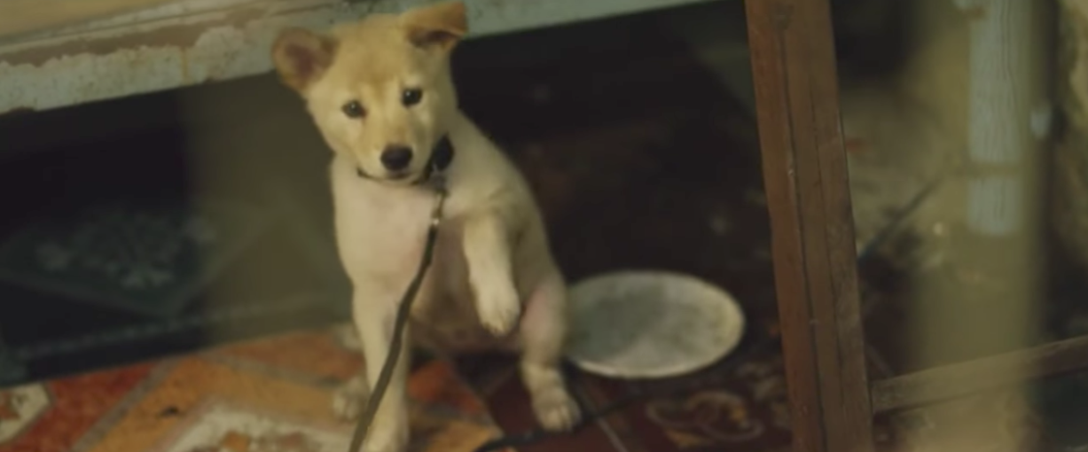 Kẻ trộm chó: Có ý tứ, có chút cảm động, nhưng vẫn còn vụng về - Ảnh 3. Kẻ trộm chó: Có ý tứ, có chút cảm động, nhưng vẫn còn vụng về - Ảnh 3.