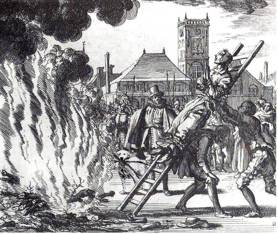 Chú chó ngáo ngơ trở thành nạn nhân của các thánh chế ảnh - Ảnh 24. Chú chó ngáo ngơ trở thành nạn nhân của các thánh chế ảnh - Ảnh 24.