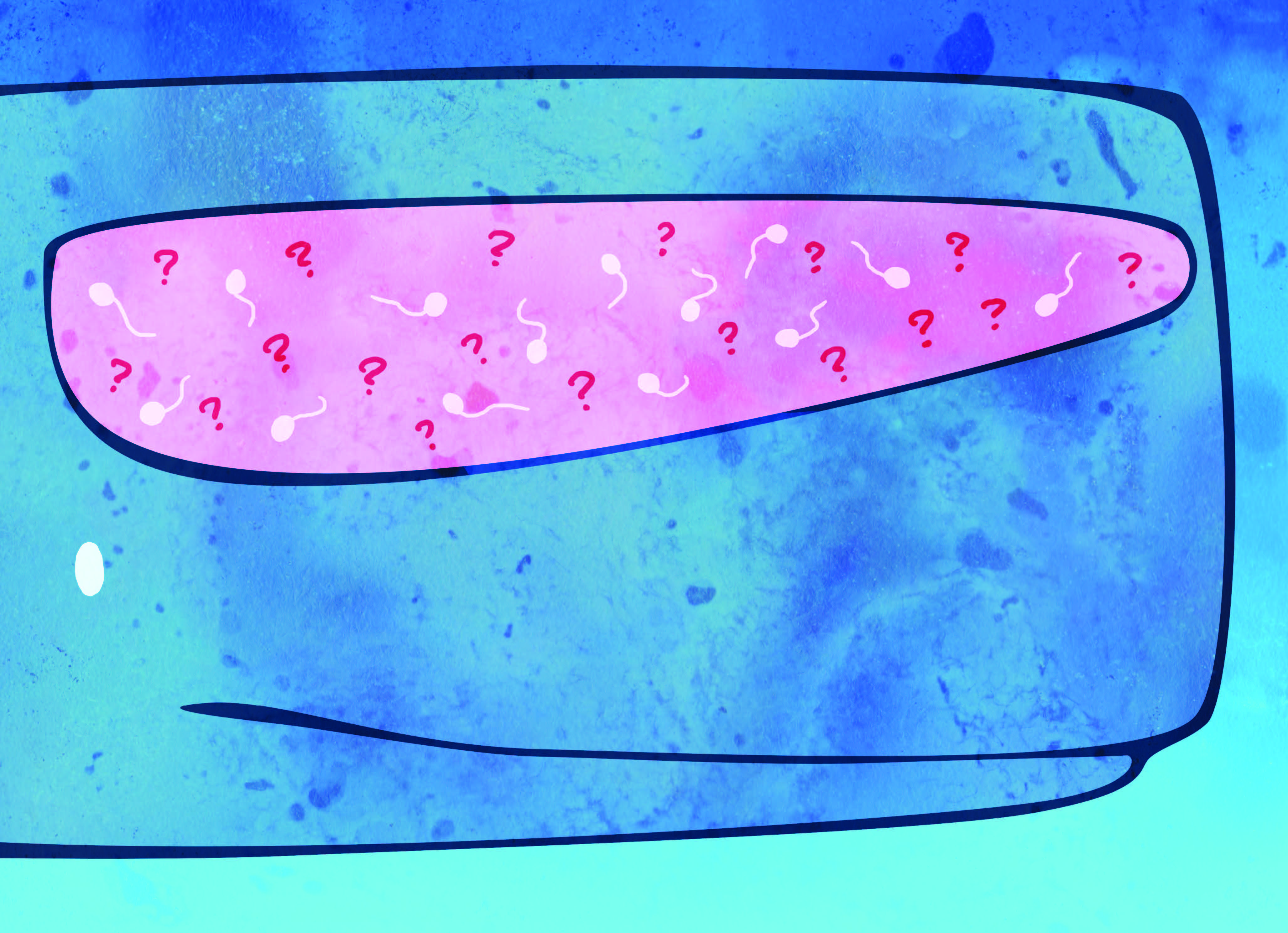 how-the-sperm-whale-named-xx-sex-haveing-boy