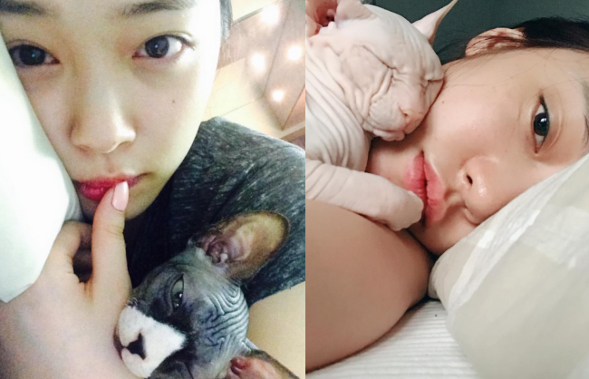 Chơi quá thân, Goo Hara bị "nhiễm" hay đang cố gắng sao chép Sulli? Chơi quá thân, Goo Hara bị "nhiễm" hay đang cố gắng sao chép Sulli?