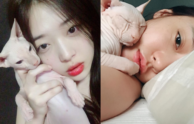 Chơi quá thân, Goo Hara bị "nhiễm" hay đang cố gắng sao chép Sulli? Chơi quá thân, Goo Hara bị "nhiễm" hay đang cố gắng sao chép Sulli?