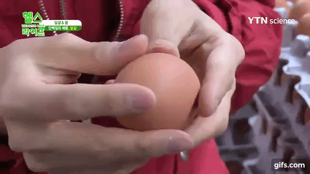 Chọn trứng gà tươi đúng chuẩn chuyên gia, chẳng cần nước muối hay bất kì dụng cụ nào - Ảnh 5. Chọn trứng gà tươi đúng chuẩn chuyên gia, chẳng cần nước muối hay bất kì dụng cụ nào - Ảnh 5.