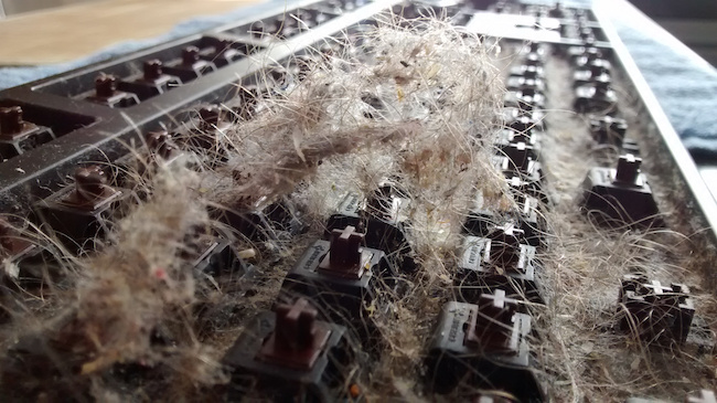 Cận cảnh quá trình dọn dẹp chiếc bàn phím 6 năm không tắm này sẽ khiến bạn nổi da gà - Ảnh 7. Cận cảnh quá trình dọn dẹp chiếc bàn phím 6 năm không tắm này sẽ khiến bạn nổi da gà - Ảnh 7.