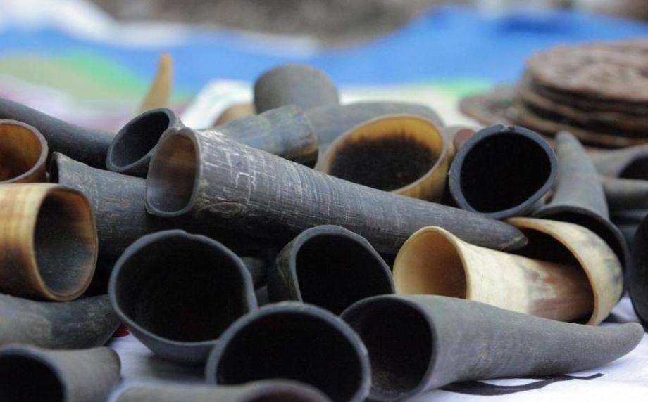 Nhìn hình ảnh này ai cũng rùng mình, nhưng sự thật thì nó là một phương pháp điều trị y học - Ảnh 4. Nhìn hình ảnh này ai cũng rùng mình, nhưng sự thật thì nó là một phương pháp điều trị y học - Ảnh 4.