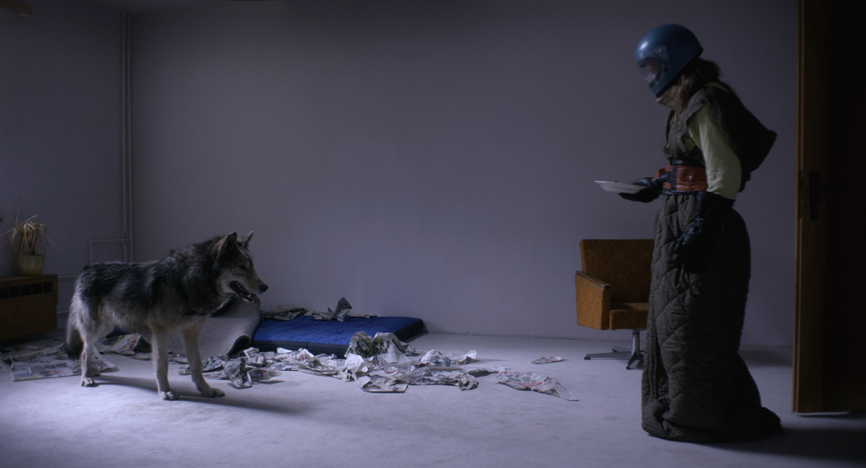 Đón xem loạt tác phẩm kịch tính thuộc Liên hoan phim Đức lần 8 tại Việt Nam - Ảnh 10. Đón xem loạt tác phẩm kịch tính thuộc Liên hoan phim Đức lần 8 tại Việt Nam - Ảnh 10.