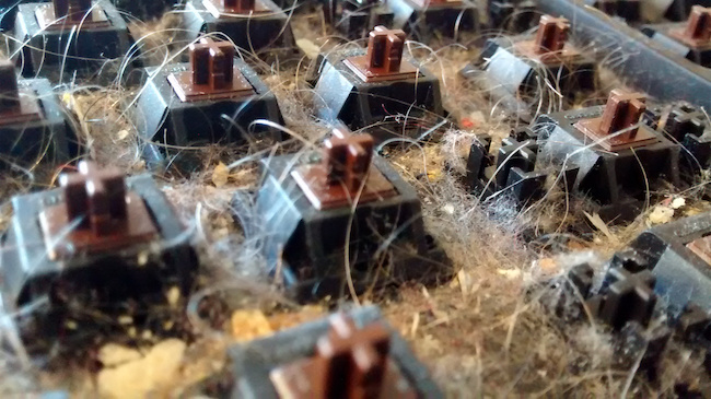 Cận cảnh quá trình dọn dẹp chiếc bàn phím 6 năm không tắm này sẽ khiến bạn nổi da gà - Ảnh 6. Cận cảnh quá trình dọn dẹp chiếc bàn phím 6 năm không tắm này sẽ khiến bạn nổi da gà - Ảnh 6.