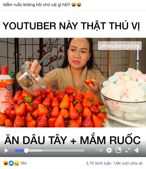 Nữ YouTuber Vinh Nguyễn lên tiếng phản pháo dư luận khi không hiểu vì sao lại bị chửi, dân mạng vẫn “9 người 10 ý” - Ảnh 2.