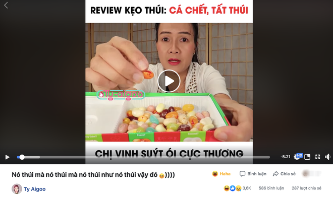 Nữ YouTuber Vinh Nguyễn lên tiếng phản pháo dư luận khi không hiểu vì sao lại bị chửi, dân mạng vẫn “9 người 10 ý” - Ảnh 3.